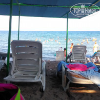 фото из отзыва ID 1810247