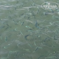 фото из отзыва ID 1812013