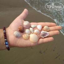 фото из отзыва ID 1812013