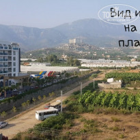 фото из отзыва ID 1814013