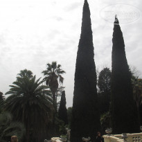 фото из отзыва ID 1814015