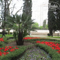 фото из отзыва ID 1814015