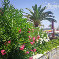 фото из отзыва ID 1815489