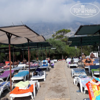 фото из отзыва ID 1815749