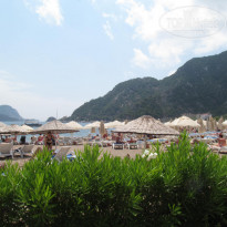 фото из отзыва ID 1819672