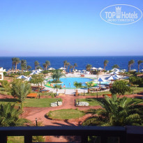 фото из отзыва ID 183574