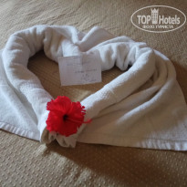 фото из отзыва ID 1831986