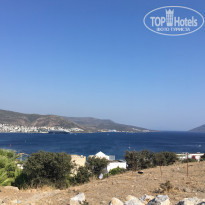 фото из отзыва ID 1833361