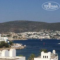 фото из отзыва ID 1833361