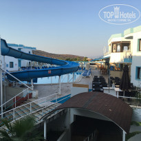 фото из отзыва ID 1833361