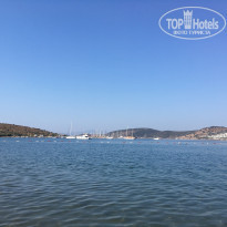 фото из отзыва ID 1833361