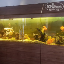 фото из отзыва ID 1837808