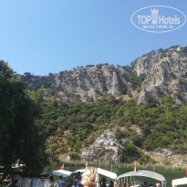 фото из отзыва ID 1838210