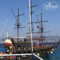 фото из отзыва ID 1842309