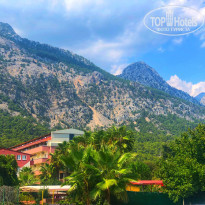 фото из отзыва ID 1848894