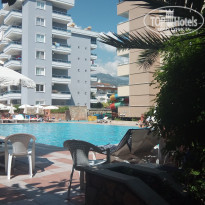 фото из отзыва ID 1849051