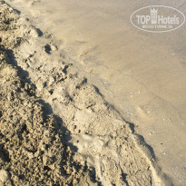 фото из отзыва ID 1851214