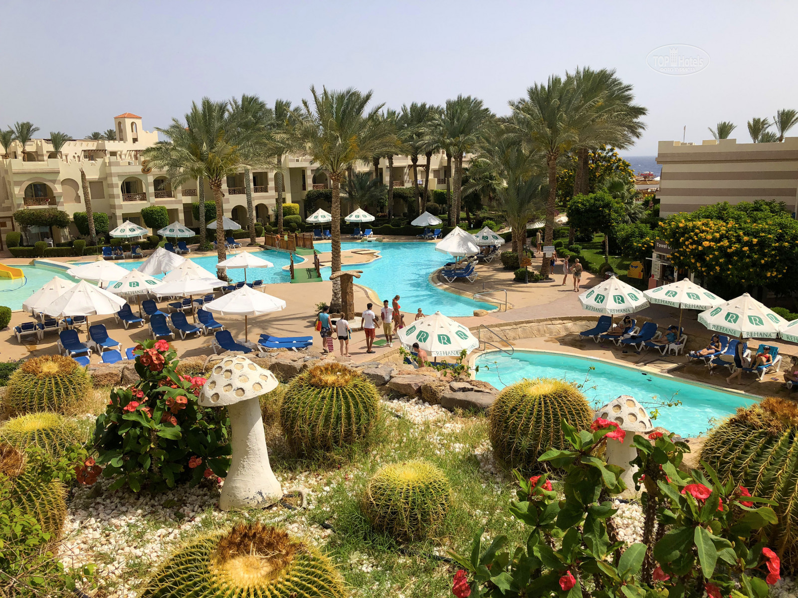 отель rehana royal beach resort spa 5 шарм эль шейх