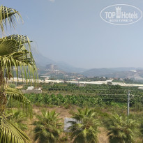 фото из отзыва ID 1853642