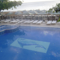 фото из отзыва ID 1854878