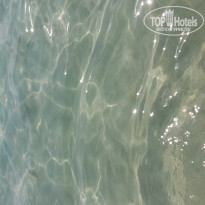 фото из отзыва ID 1857028