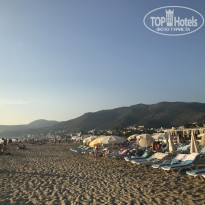 фото из отзыва ID 1869969