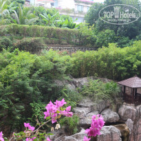 фото из отзыва ID 1874012