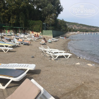 фото из отзыва ID 1875079