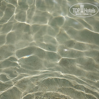 фото из отзыва ID 1875424