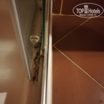 Palmea Hotel 4* Плесень в душе - Фото отеля