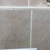 фото из отзыва ID 1876262