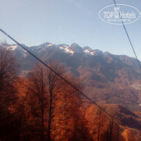 фото из отзыва ID 1882708