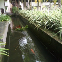 фото из отзыва ID 1883428