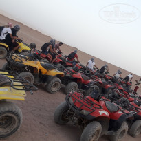 фото из отзыва ID 1884992