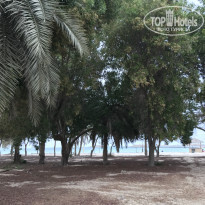 фото из отзыва ID 1891914