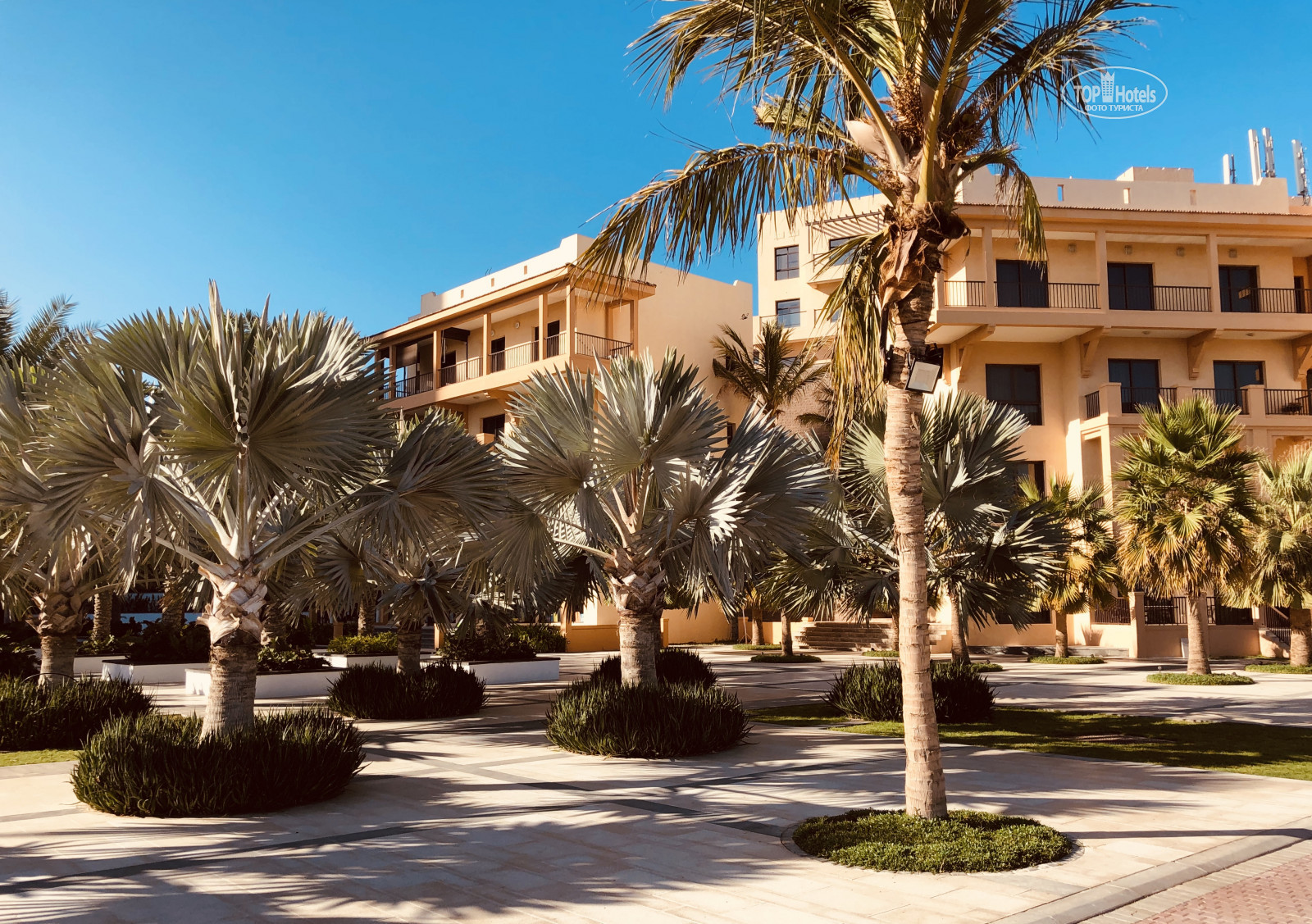 Address beach resort fujairah 5 фуджейра