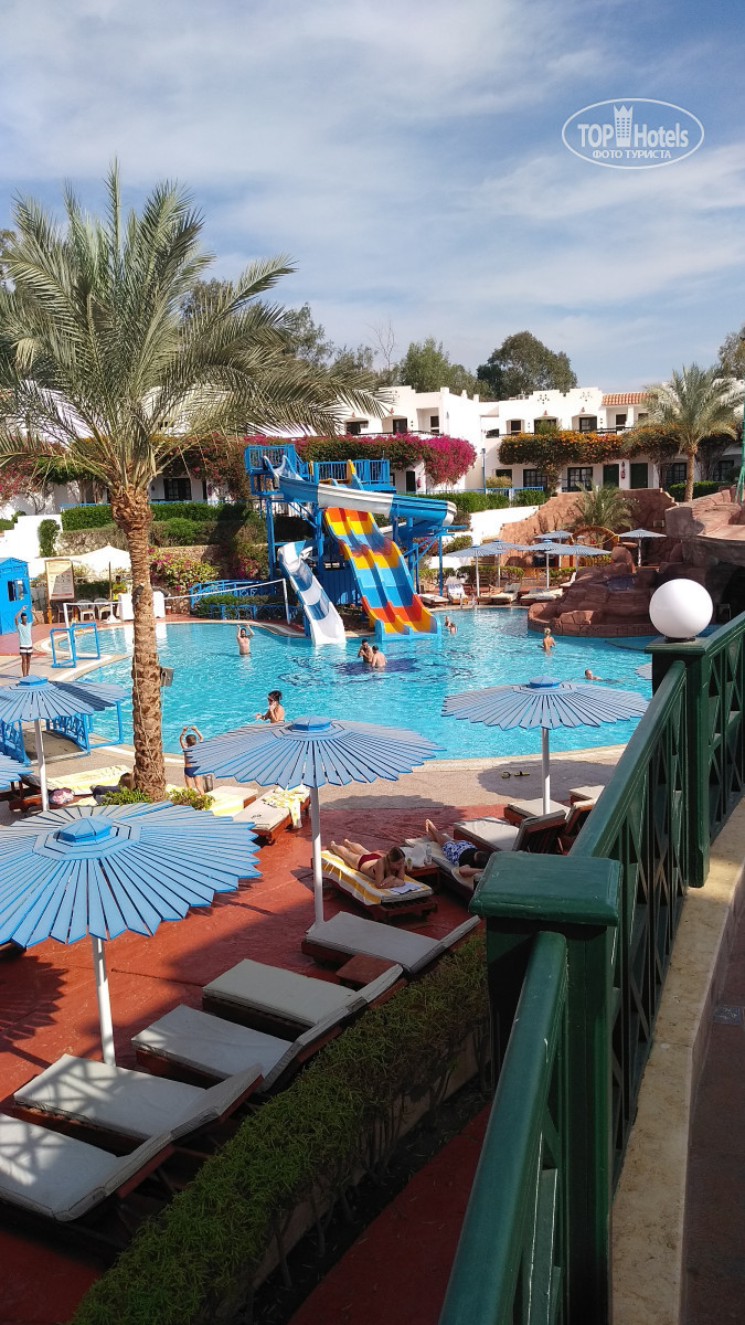 Verginia sharm resort aqua park 4. Вирджиния Шарм Резорт аквапарк. Uni Sharm Aqua Park 4*. Verginia Sharm Aqua Park 4. Вирджиния Шарм Резорт аквапарк 4.