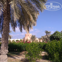 фото из отзыва ID 1899903