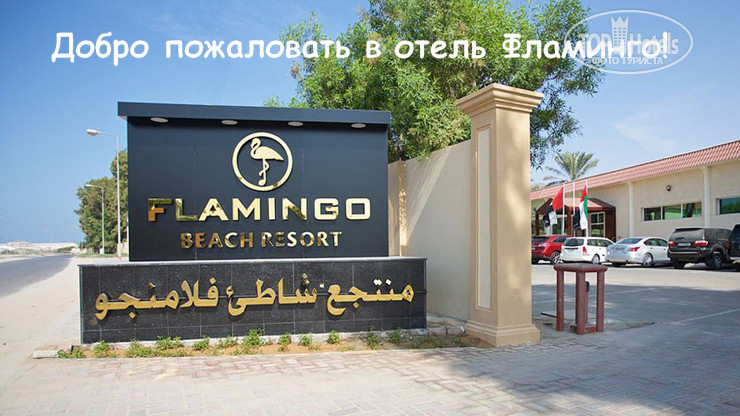 Bin majid flamingo beach 3. Отель Flamingo Beach Resort by bin Majid 3. *Bin Majid Flamingo Beach Resort 3**. Flamingo Beach Resort 3 ОАЭ. Flamingo Beach Resort на карте.