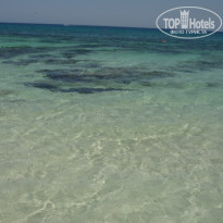 фото из отзыва ID 1911404