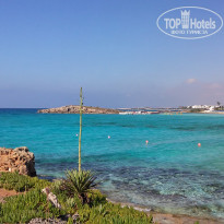 фото из отзыва ID 1911404