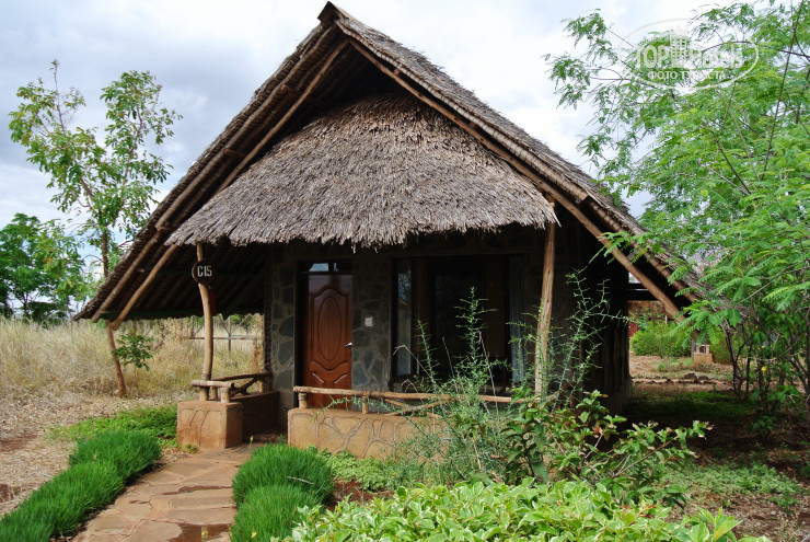 Фотографии отеля  AA Lodge Amboseli 3*