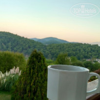 фото из отзыва ID 1915632