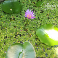 фото из отзыва ID 1918704