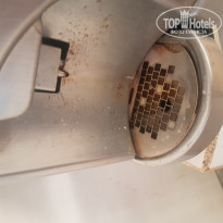 фото из отзыва ID 1926726