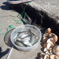 фото из отзыва ID 1927837