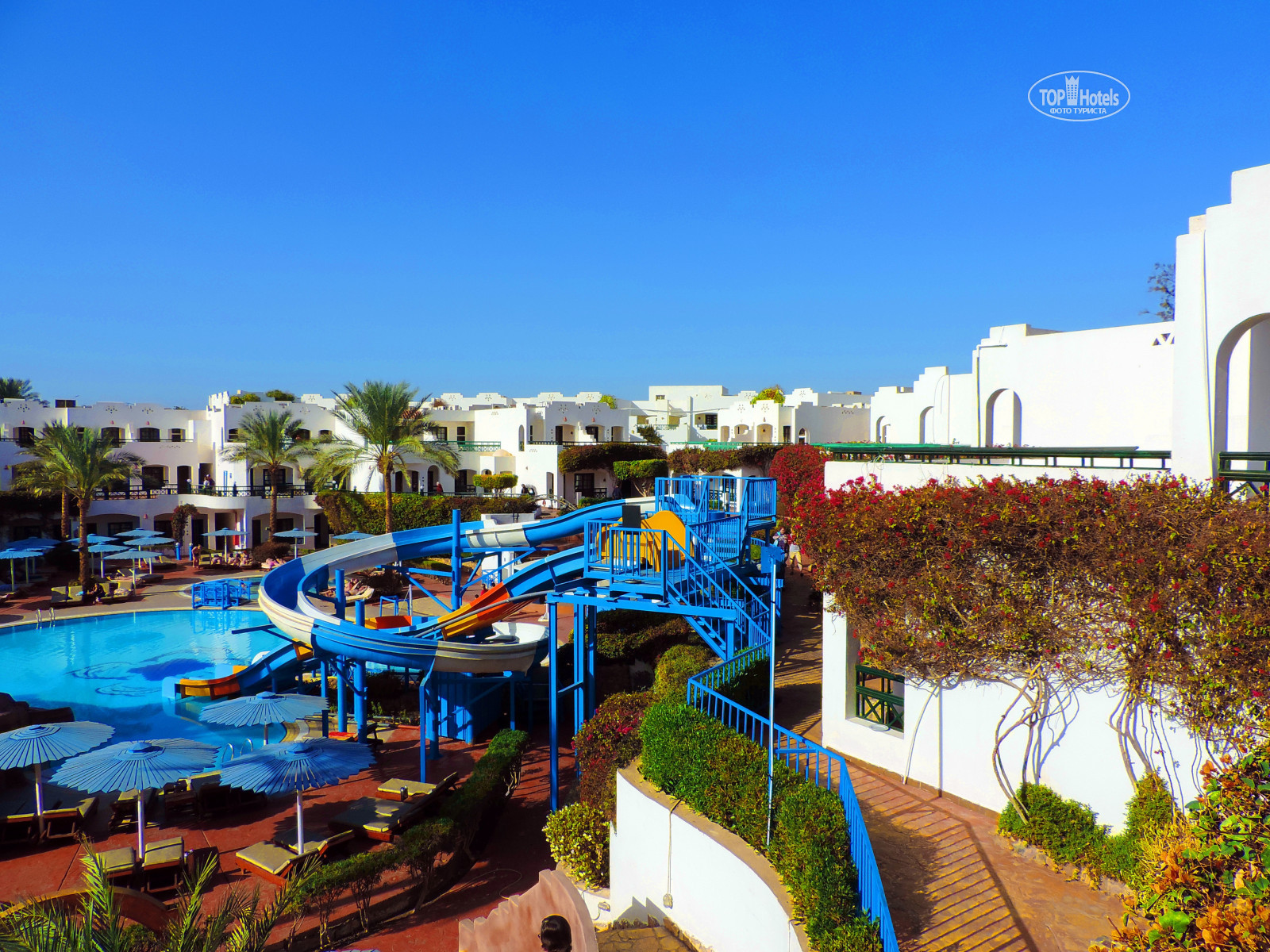 Verginia sharm resort 4 египет. Verginia Sharm Resort & Aqua Park. Verginia Sharm Resort Aqua Park 4 Шарм Эль Шейх. Verginia Sharm Resort & Aqua Park. 4* (Хадаба). Verginia Sharm Resort & Aqua Park (ех. Verginia Sharm, Sol Verginia) 4*.