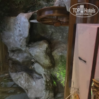 фото из отзыва ID 1933262