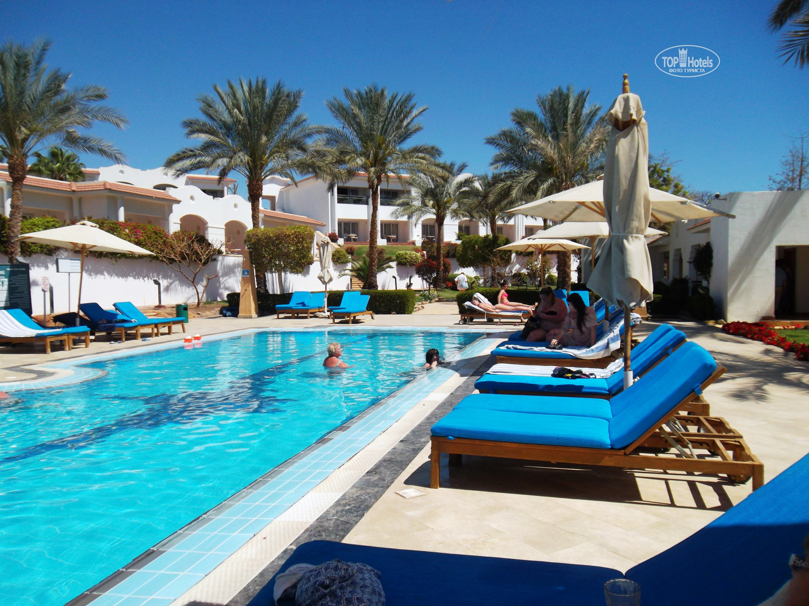 джаз дримс резорт