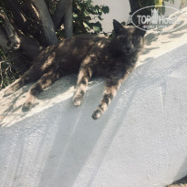 фото из отзыва ID 1936660